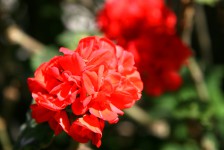 File0125