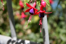 File0133