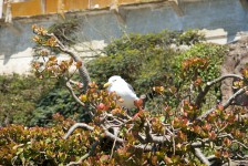 File0282