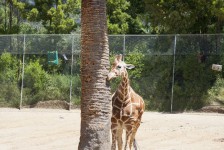 IMG_0887