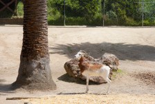 IMG_0889