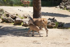 IMG_0907