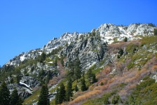 20090417_0596
