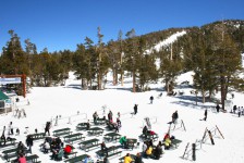 20090418_0646