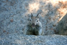 IMG_1308