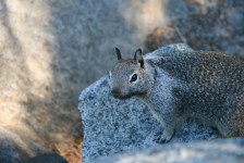IMG_1309