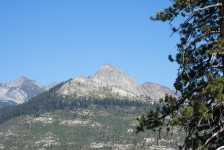 IMG_1317