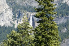 IMG_1355