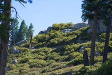 IMG_1365