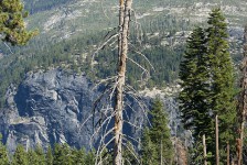IMG_1370