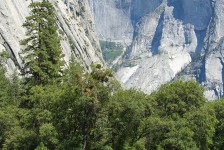 IMG_1448