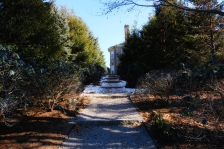 DSCF0182