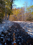 IMG_20201031_113241897