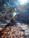 IMG_20201031_113348028