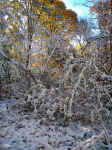 IMG_20201031_113445143