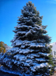 IMG_20201031_113742257