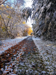 IMG_20201031_114314015