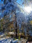 IMG_20201031_114618961