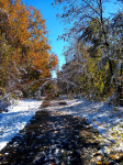 IMG_20201031_114625612