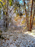 IMG_20201031_114741183