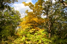 Woburn