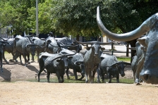 Texas